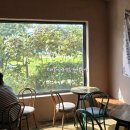 동송농장 | 철원 카페 논에 , 애견동반 가능한 논밭뷰에서 힐링하기