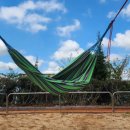 선장초등학교병설유치원 이미지