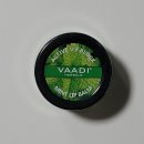 VAADI HERBALS &#39;바디허벌즈&#39; | 페이스워시 로션 비누 추천