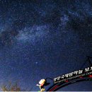 영양군종합복지회관 | 🌿 2026 영양 산나물 축제 완전 정복 가이드: 봄을 먹다! 청정 산나물 천국