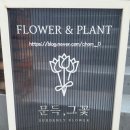 문득그꽃 이미지