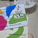 하늘은 높고 영이는 살이 찐 2024년 9월의 일상