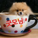 마음퐁당