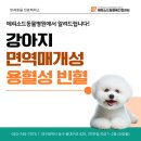 24시 에피소드 동물 메디컬 센터 | 범어동동물병원 면역매개성 용혈성 빈혈 짱구의 사례 [24시에피소드동물메디컬센터]