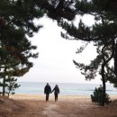 경포대 산호 펜션 이미지