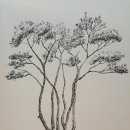 오션힐스 스타트하우스 이미지