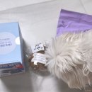 내돈내산 오늘덤핑 라이브방송 구매 후기ㅣ자사몰라이브, 창고라이브방송,너무재밌네 이거..