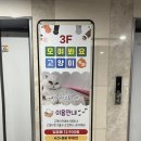 카페;만월경구래지점 | [김포/구래] 구래동 아이와 갈만한 곳 음료,시간 무제한 모여봐요 고양이카페 후기