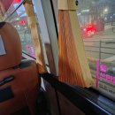 세븐일레븐 대전원내타운점 | 동네친구들과 2박3일 도쿄여행을 (16주차)