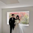 마리헤어 (Mary’s hair) | 마리스튜디오 베네트 드레스 촬영 2탄 서의,우기헤어, 오흐니아뜰리에, 꿀팁