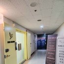 이뻐라속눈썹
