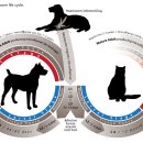 엘동물의료센터 이미지