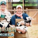 성공목장 이미지