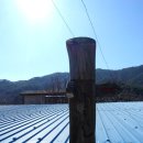 20200209 지리산 둘레길 12구간 삼화실~서당마을