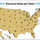 혼돈의 미국 9 - 미국 선거법은 왜 혼란을 자초했나요? 이미지