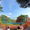 가창초등 | 대구근교 가창 아르떼포레 숲학교