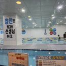 스윔키즈 이미지