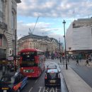 다희 민박 이미지