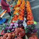 (주)일송개발 오션뷰호텔 코지 하버 | [제주도] 제주도 가성비여행 끝판왕. 내가 기억해두려고 종합정리한 숙소 &amp; 맛집 리스트_(성산, 서귀포)