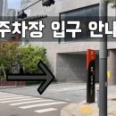 왁싱하는고양이