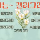 캘리그라피 수묵반 네이버블로그