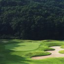 소나무 숲속의 아름다운 골프장 "캐슬파인 골프클럽"입니다. 이미지
