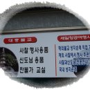 대중여행사 이미지