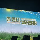 봄인디 보러와유 이미지