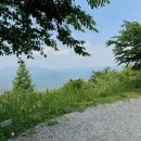 가림농장 | 대구 군위 바람이좋은저녁 캠핑장, 운무가 유명한 곳 (명당사이트 추천)