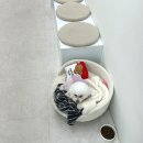 디 뷰티 | 다산 속눈썹펌 맛집 토탈뷰티샵 디아르뷰티 추천 후기