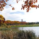 화랑유원지 이미지