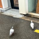 신구건강원