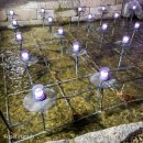 종로-신교-종로-신-365 | 청계천 ‘서울빛초롱축제’ 가는 법, 잉어킹 위치, 관람팁, 소요 시간, 겨울 데이트