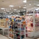 못된고양이 이미지