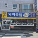 영진돼지국밥 | 부산 돼지국밥 맛집 투어 [명지동 영진돼지국밥] 내돈내산 솔직후기