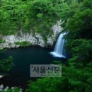 중문진실캠핑장 이미지