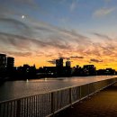 전통중앙도매 이미지