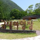 금대에코힐링캠핑장(주차장) 이미지