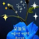 5월4일 고발뉴스 이미지