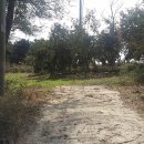 오거리통신 이미지