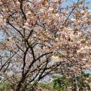 각원사길 이미지