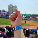 진명크리닝 | 23시즌 야구장후기-상반기편[잠실야구장/고척스카이돔/광주기아챔피언스필드/수원kt위즈파크]