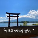 오이시투 | 도쿄 2박3일 일정표 가족 6명 완벽 동선 시간대별 총정리 메이지신궁·시부야·후지산