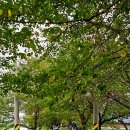 서림민박 | [백패킹] 3번째 가을 풍경 - 비피엘하이크 남원 후기