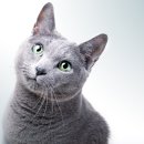 참누리동물병원 이미지