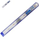 블루버드 이미지