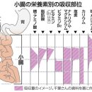 「단장증후군(短腸症候群)」보이지 않는 고통 영양이나 수분 흡수에 지장 이미지