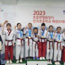 다올태권도장 이미지