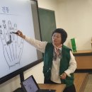 고려수지침요법학회 이미지