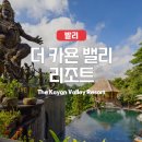 투스토리 | 발리 우붓 가성비 숙소 카욘 밸리 리조트 풀빌라 후기